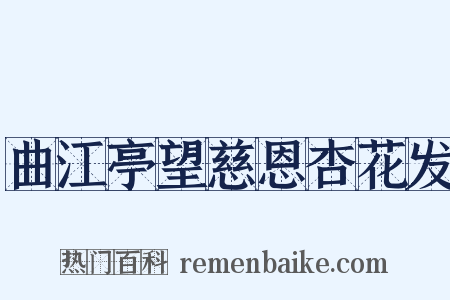 曲江亭望慈恩杏花发是什么意思的图片